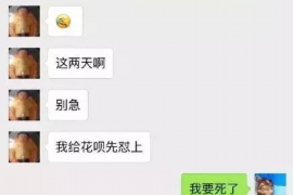 志丹遇到恶意拖欠？专业追讨公司帮您解决烦恼